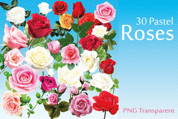 Download Roses Bundle Clipart - Clipart Collection